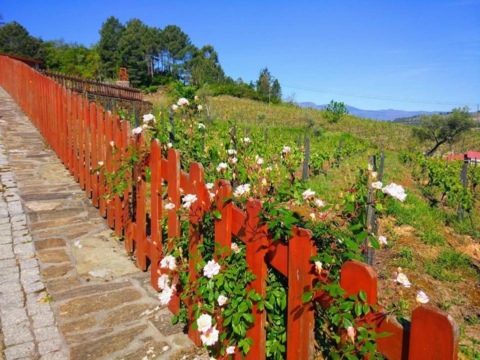 ホテル Casa Do Poco - Douro ペーゾ・ダ・レーグア エクステリア 写真