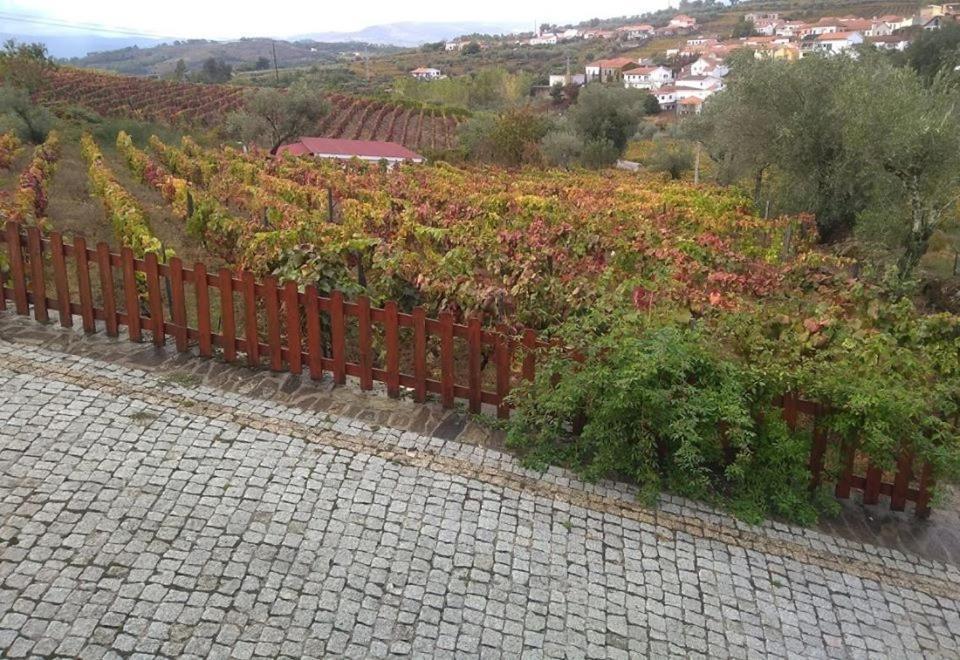 ホテル Casa Do Poco - Douro ペーゾ・ダ・レーグア エクステリア 写真